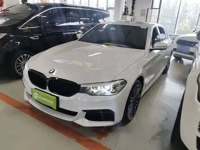 BMW 5 Series 2019 530Li xDrive M Sport Package