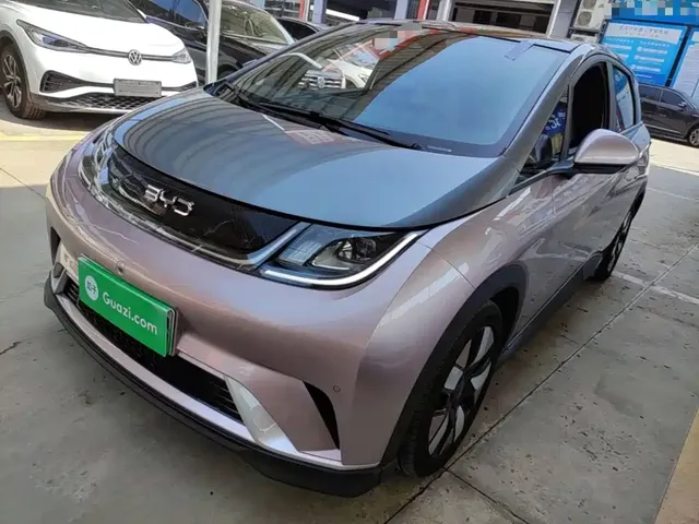 BYD Dolphin 2025 520km Knight Edition