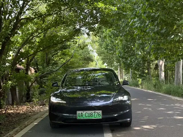 Tesla Model 3 2023 Rear-Wheel Drive