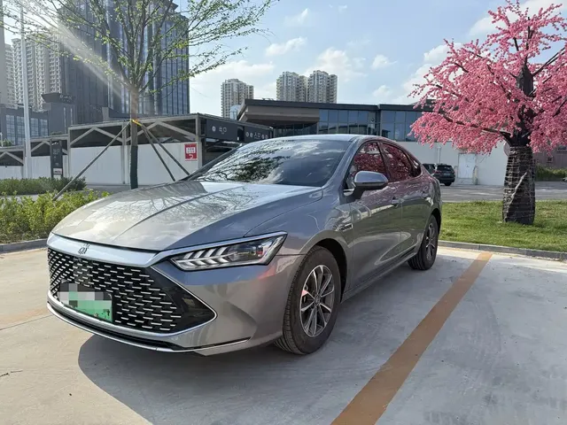 BYD Qin PLUS 2024 Glory Edition DM-i 55KM Leading