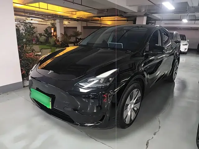 Tesla Model Y 2022 Rear-Wheel Drive Version