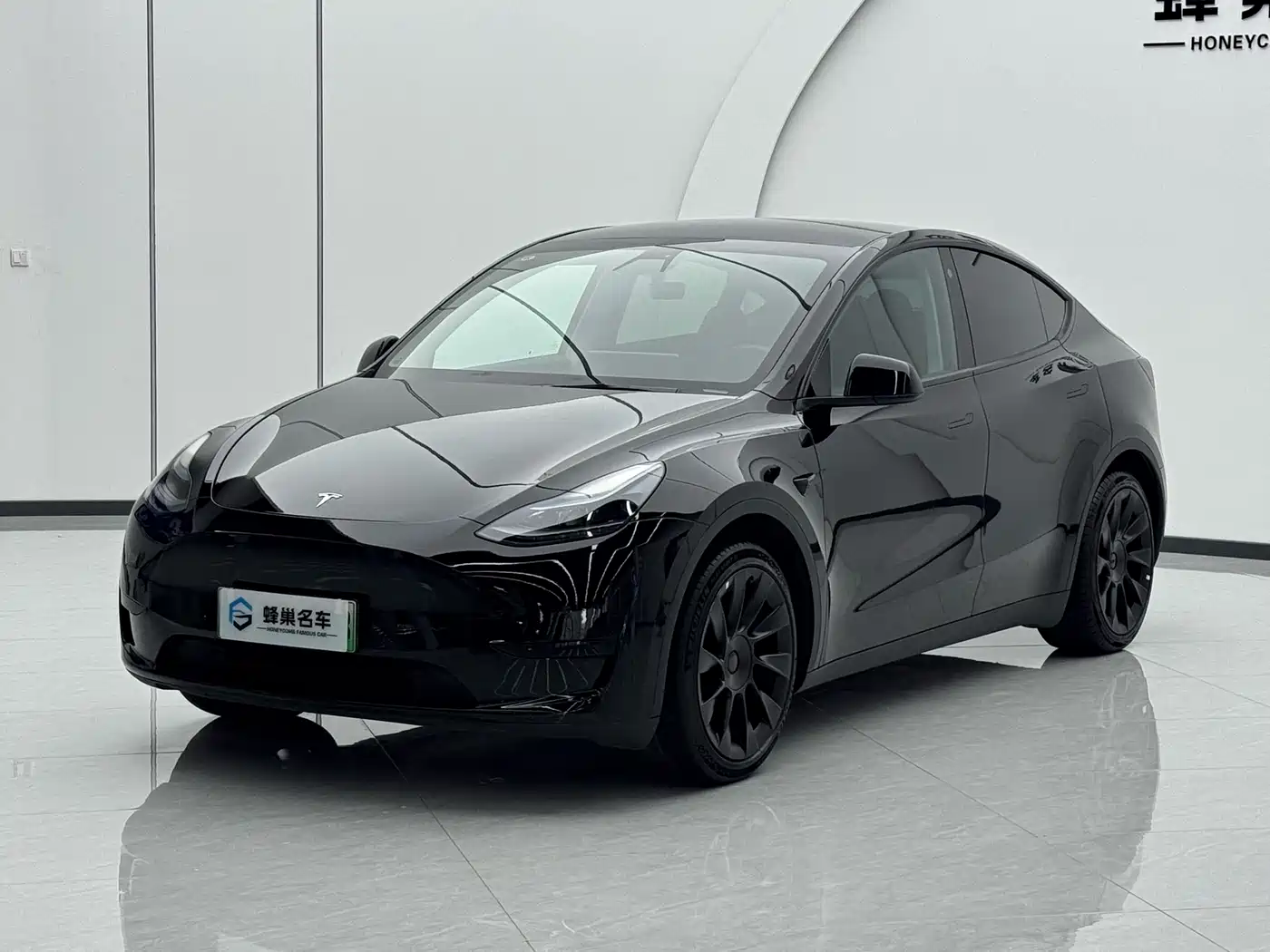 Tesla Model Y 2022 Rear-Wheel Drive Version