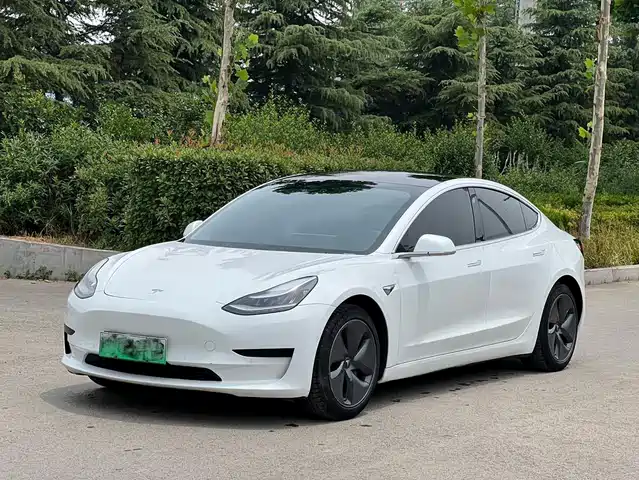 Tesla Model 3 2020 Standard Range Rear-Wheel Drive Upgrade