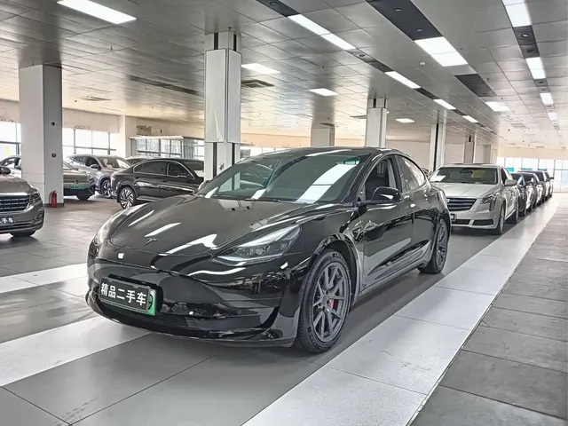 Tesla Model 3 2022 Model Rear-Wheel Drive Version