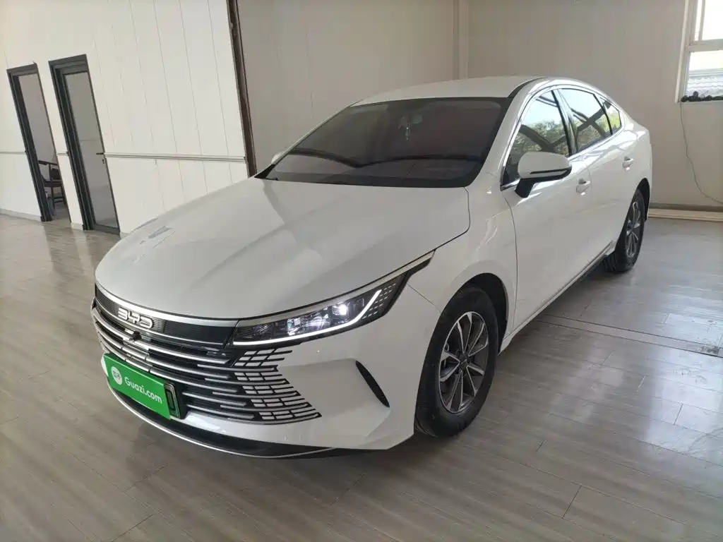 BYD Destroyer 05 2024 Glory Edition DM-i 55KM Luxury