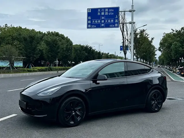Tesla Model Y 2022 Rear-Wheel Drive Version