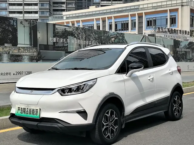 BYD Yuan Pro 2021 401KM Luxury Model