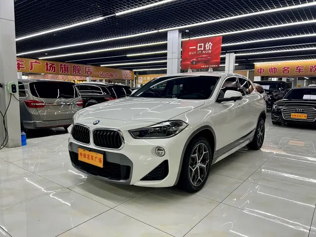 BMW X2 (Import) 2019 sDrive20i M Off-Road Package China VI