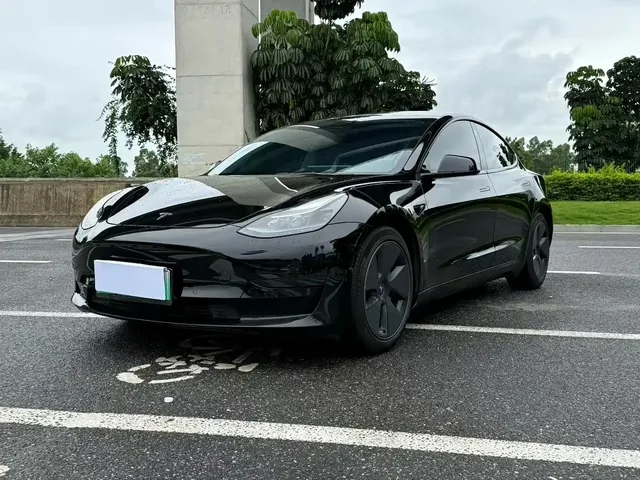 Tesla Model 3 2022 Model Rear-Wheel Drive Version