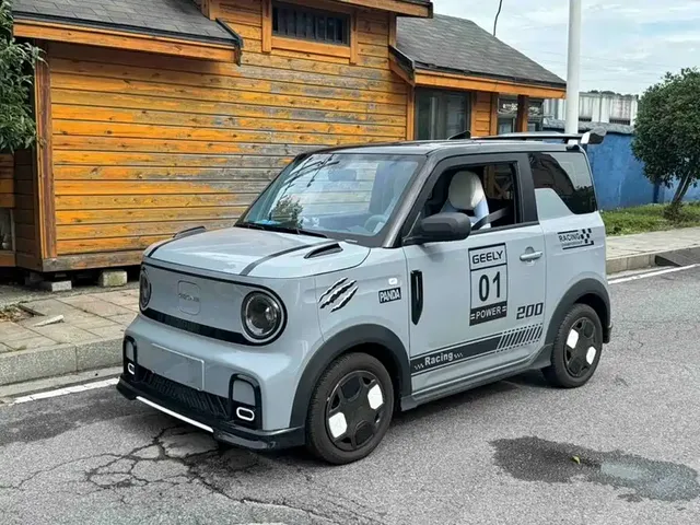 Geely Galaxy Panda 2025 Model Year 210km Panda Kart