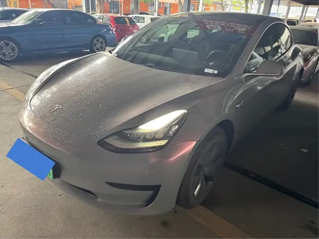 Tesla Model 3 2020 Standard Range Rear-Wheel Drive Upgrade