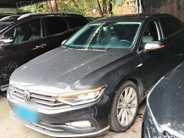 Volkswagen Magotan 2020 330TSI DSG Luxury
