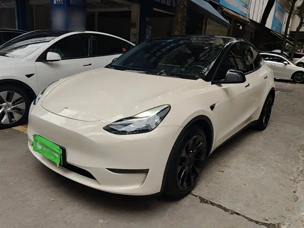 Tesla Model Y 2021 Standard Range Rear-Wheel Drive
