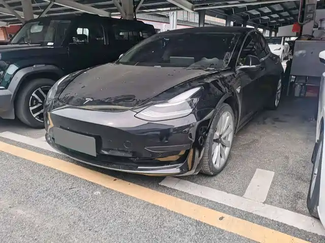 Tesla Model 3 2020 Standard Range Rear-Wheel Drive Upgrade