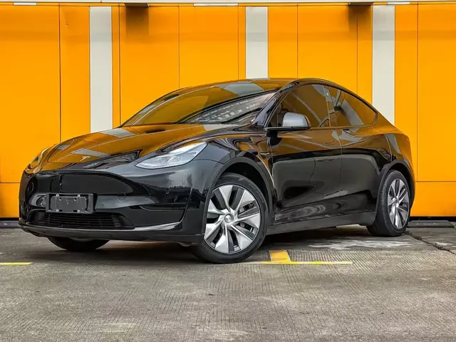 Tesla Model Y 2022 Rear-Wheel Drive Version