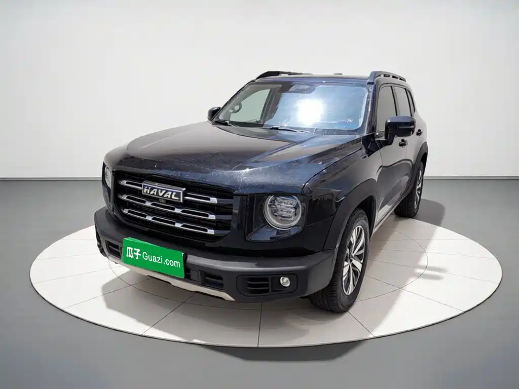 Haval Big Dog 2021 1.5T DCT 2WD Labrador Edition