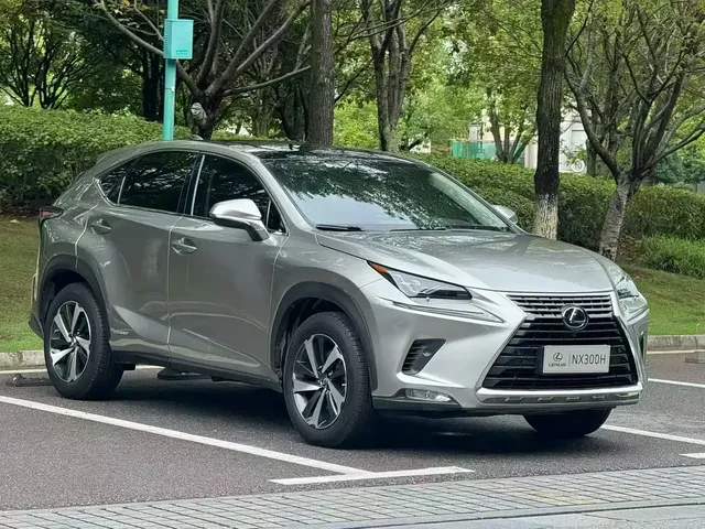 Lexus NX 2020 300h AWD F Design China VI