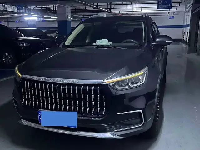 Leopaard Mattu 2018 1.6T GDI DCT Elite