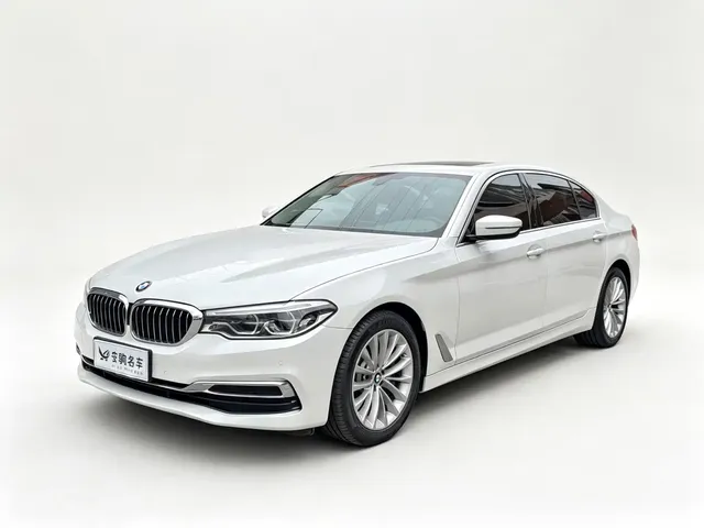 BMW 5 Series 2020 530Li Leading Luxury Package