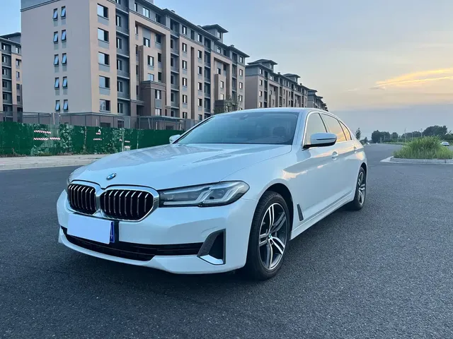 BMW 5 Series 2021 530Li Leading Luxury Package