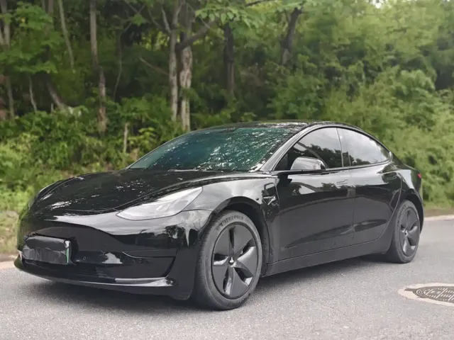 Tesla Model 3 2021 Standard Range Rear-Wheel Drive Upgrade