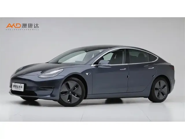 Tesla Model 3 (Import) 2019 Long Range RWD Version