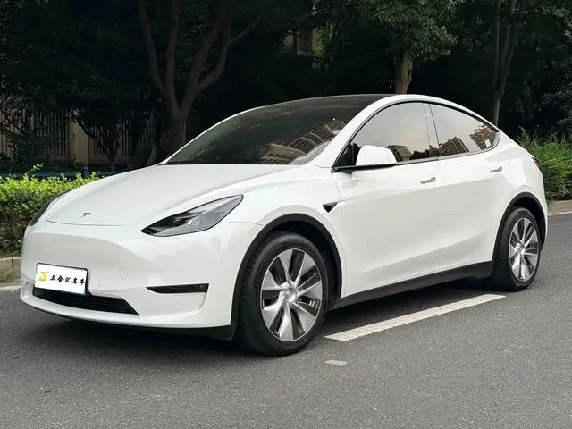 Tesla Model Y 2021 Long Range All-Wheel Drive 3D7