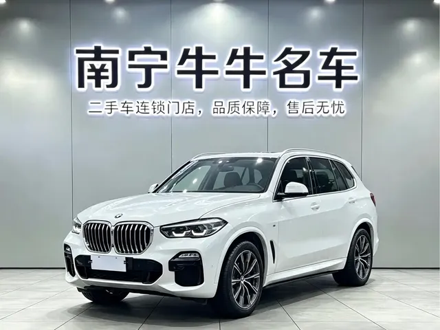 BMW X5 (Import) 2019 xDrive40i M Sport Package