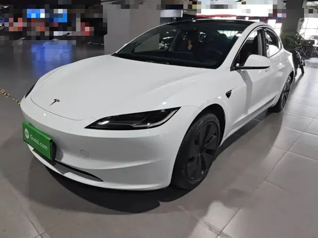 Tesla Model 3 2025 Model Rear-Wheel Drive Edition