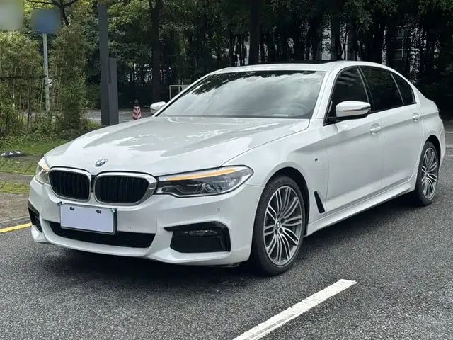 BMW 5 Series 2019 530Li Premium M Sport Package