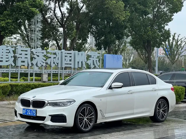 BMW 5 Series 2020 530Li Exclusive M Sport Package