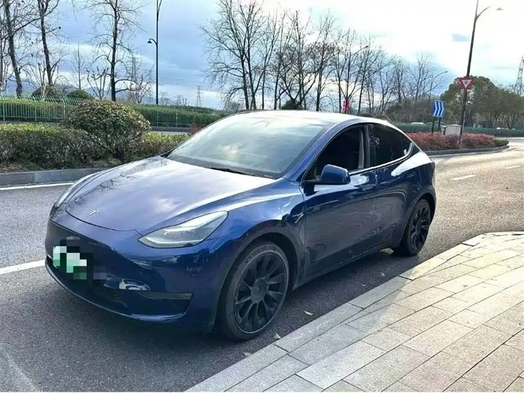 Tesla Model Y 2021 Model Long Range AWD