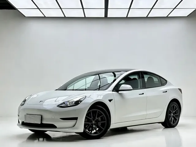 Tesla Model 3 2022 Model Rear-Wheel Drive Version