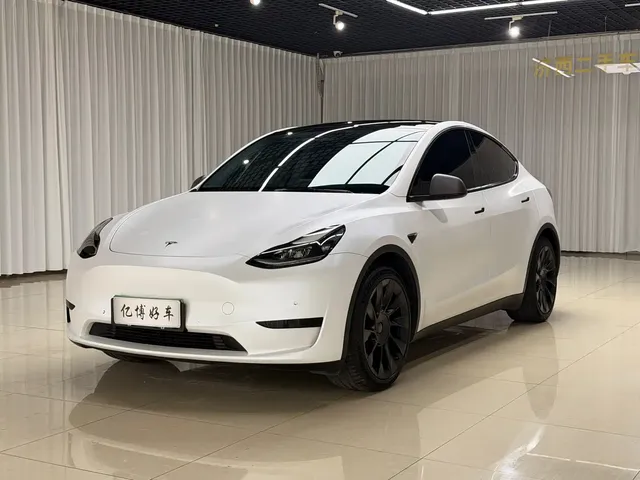 Tesla Model Y 2022 Rear-Wheel Drive Version