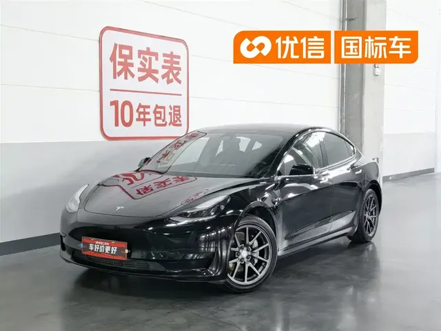 Tesla Model 3 2020 Standard Range Rear-Wheel Drive Upgrade
