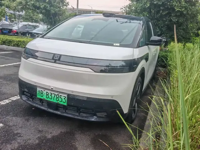 ZEEKR MIX 2025 Smart Driving Edition