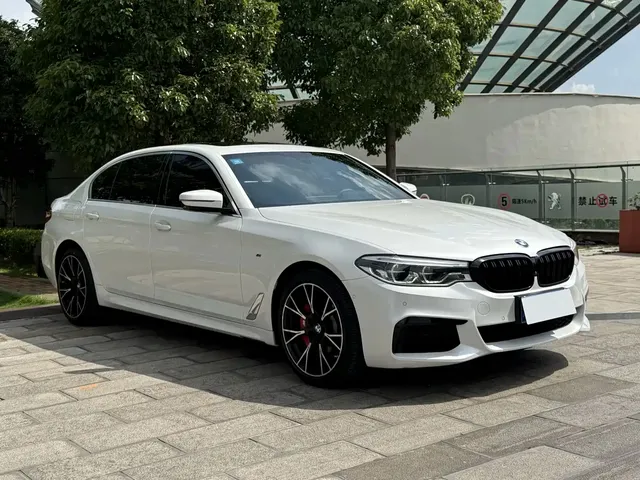 BMW 5 Series 2020 530Li Exclusive M Sport Package