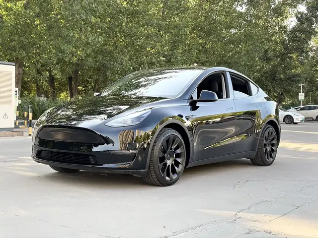 Tesla Model Y 2021 Standard Range Rear-Wheel Drive