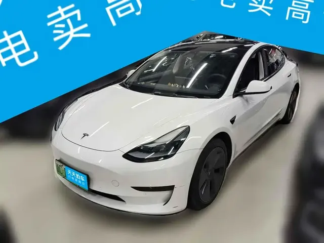 Tesla Model 3 2021 Standard Range Rear-Wheel Drive Upgrade 3D6