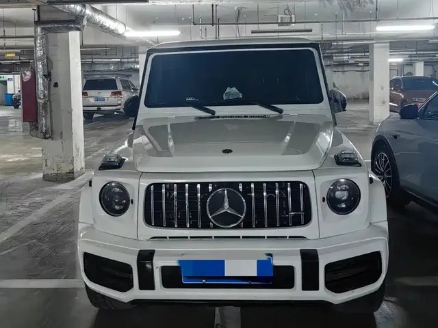 Mercedes-Benz G-Class 2017 G 500 Excellence