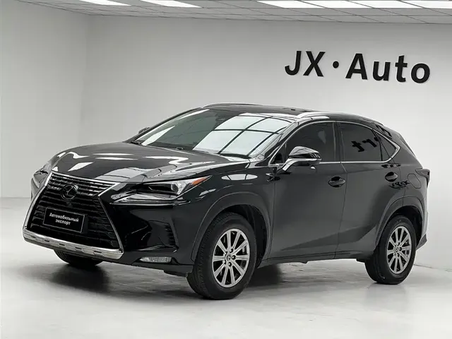 Lexus NX 2020 200 AWD F Sport China V