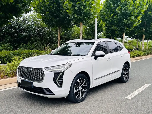 Haval First Love 2021 1.5T Automatic Premium Edition