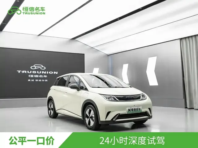 BYD Dolphin 2023 420km Freedom Edition