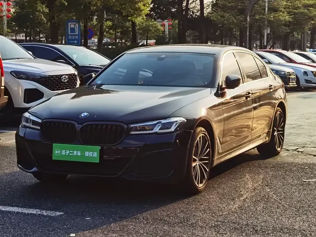 BMW 5 Series 2021 530Li Leading M Sport Package
