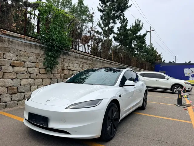 Tesla Model 3 2023 Rear-Wheel Drive