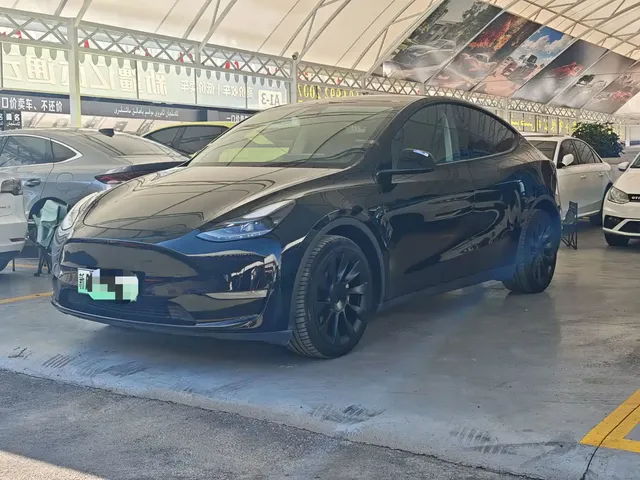 Tesla Model Y 2021 Model Long Range AWD
