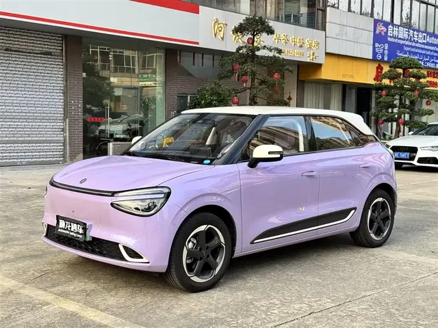 Dongfeng Yipai Nano 01 2026 Model High-end Version