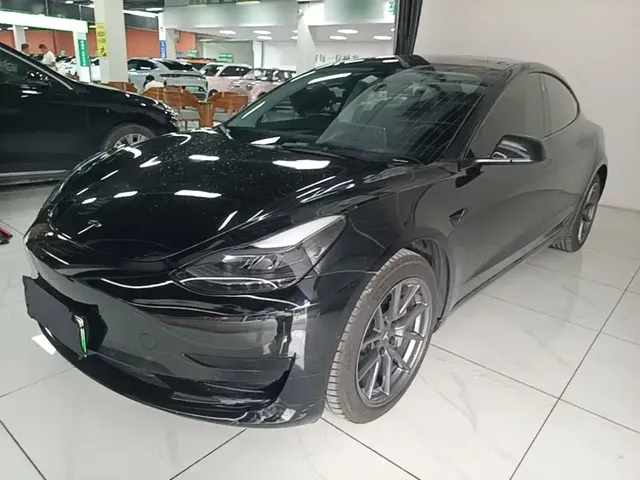 Tesla Model 3 2021 Standard Range Rear-Wheel Drive Upgrade 3D6