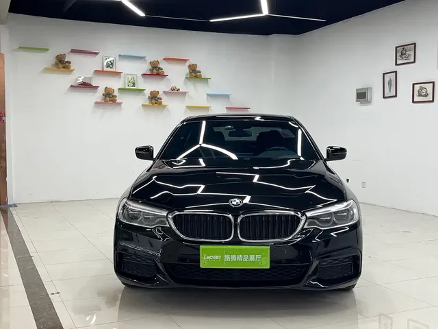 BMW 5 Series 2020 530Li Leading M Sport Package