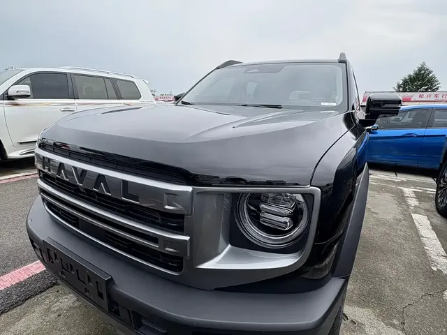 Haval Big Dog 2024 1.5T DCT Border Collie Edition